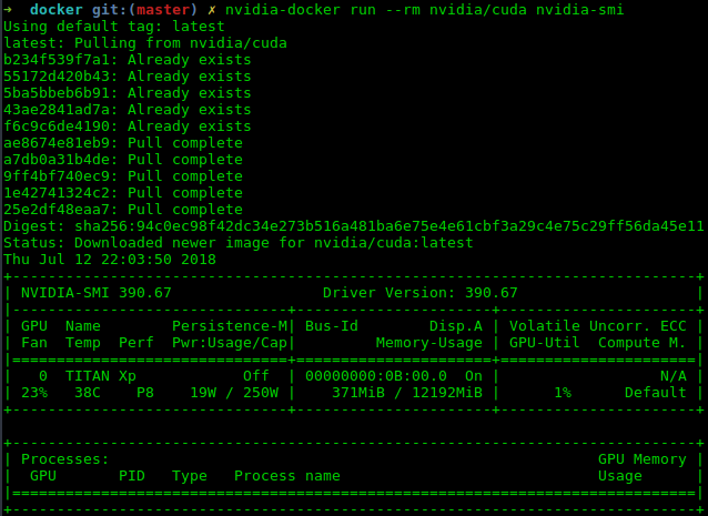 nvidia-smi output